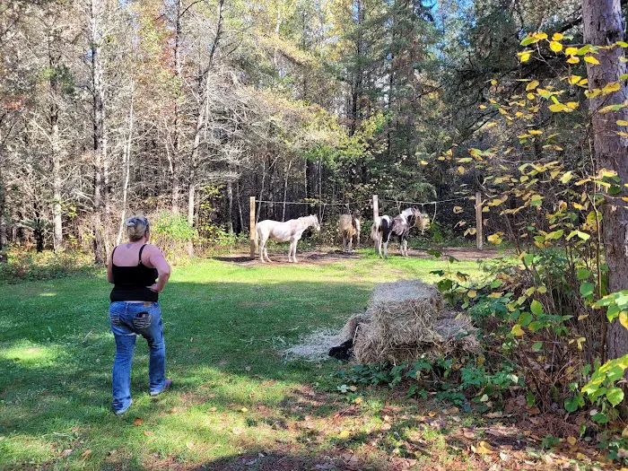 Togo Horse Campground, MNDNR Picture 4