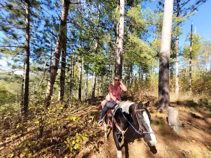 Togo Horse Campground, MNDNR Picture 8