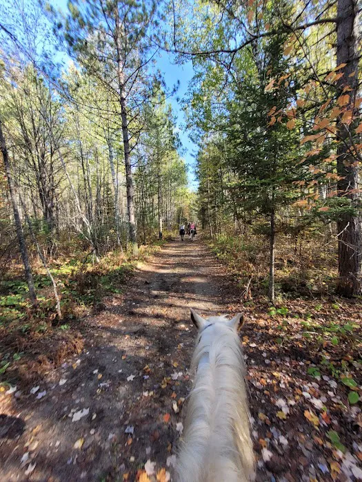 Togo Horse Campground, MNDNR Picture 1