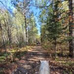 Togo Horse Campground, MNDNR