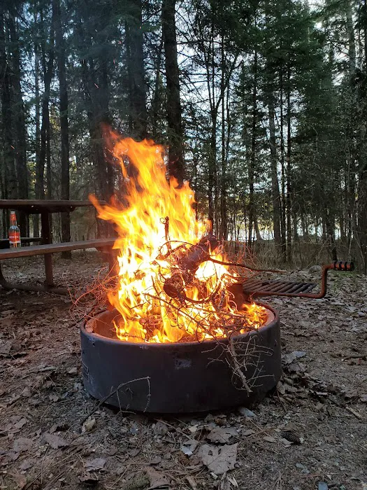 Thistledew Campground and Day Use Area Picture 5