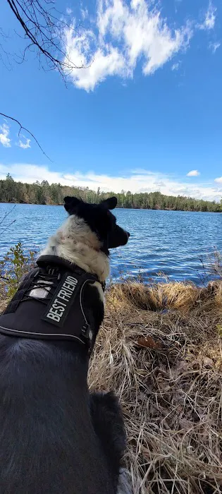 Buttonbox Lake Campground Picture 7