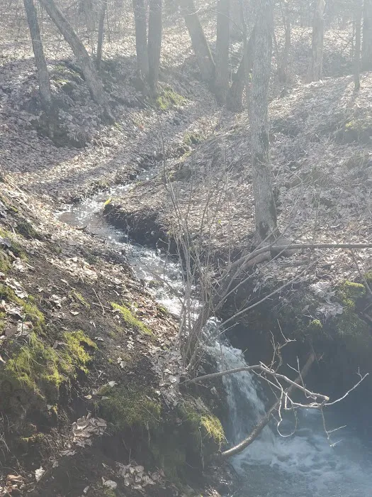 Knob Hill Campground Picture 5