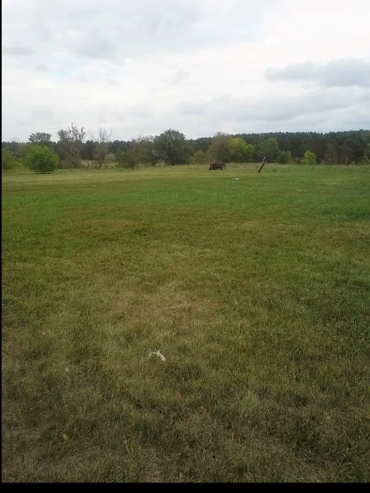 Olsen's RV Park Picture 3