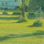 Rush Lake Tent & Trailer