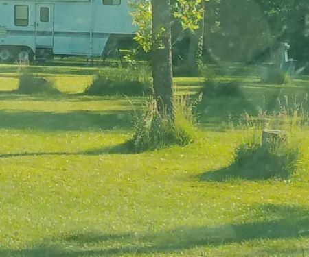 Rush Lake Tent & Trailer