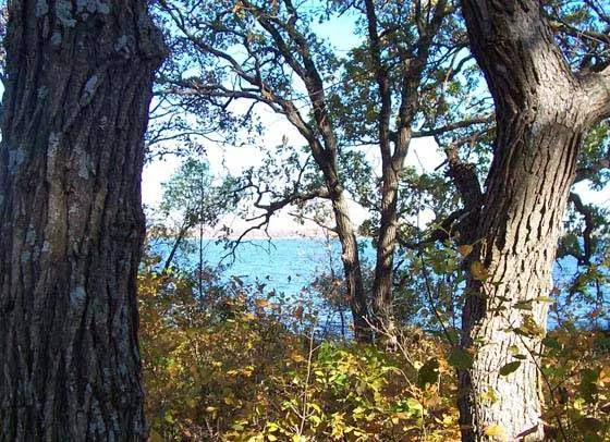 Walker Lake Preserve Picture 10