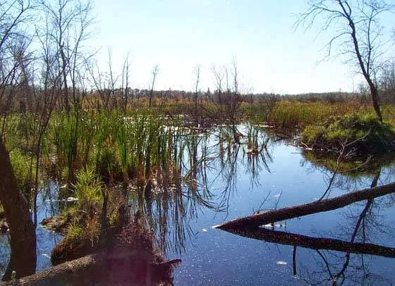 Walker Lake Preserve Picture 5