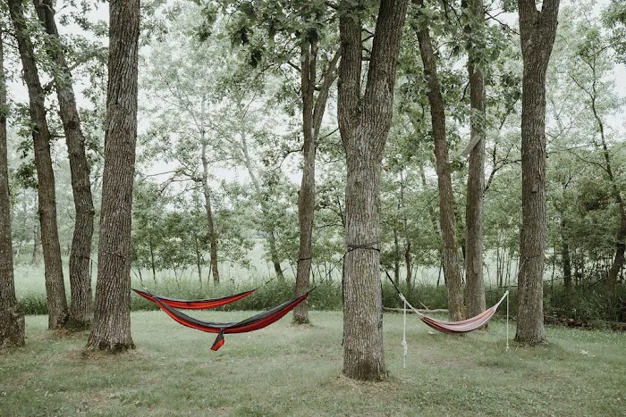 The Grove Glamping Picture 6