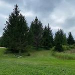Maplewood RV Park and Camp