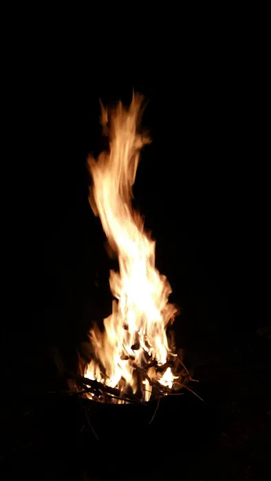 Tony's Campground Picture 5