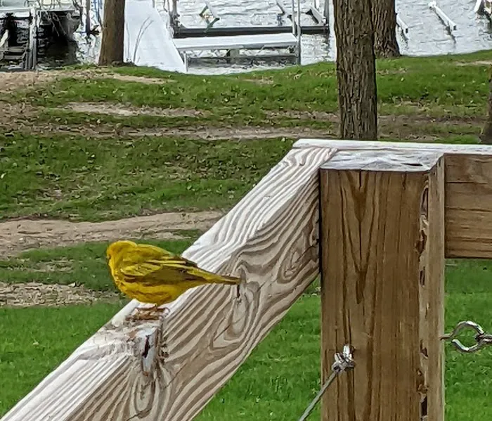Leaf Lake RV Park Picture 10