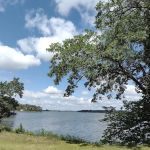 Tipsinah Mounds Campground