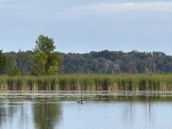 Panfish Landing Picture 8