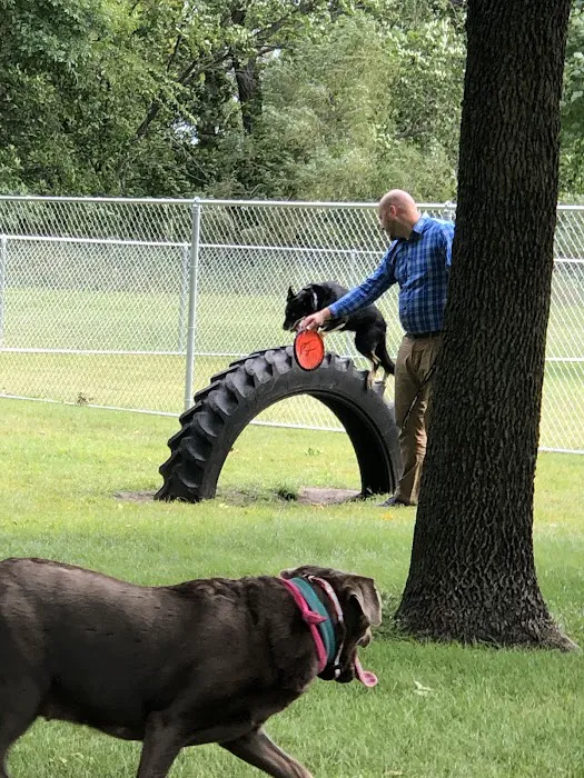 Pomme De Terre Campground Picture 1