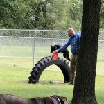 Pomme De Terre Campground