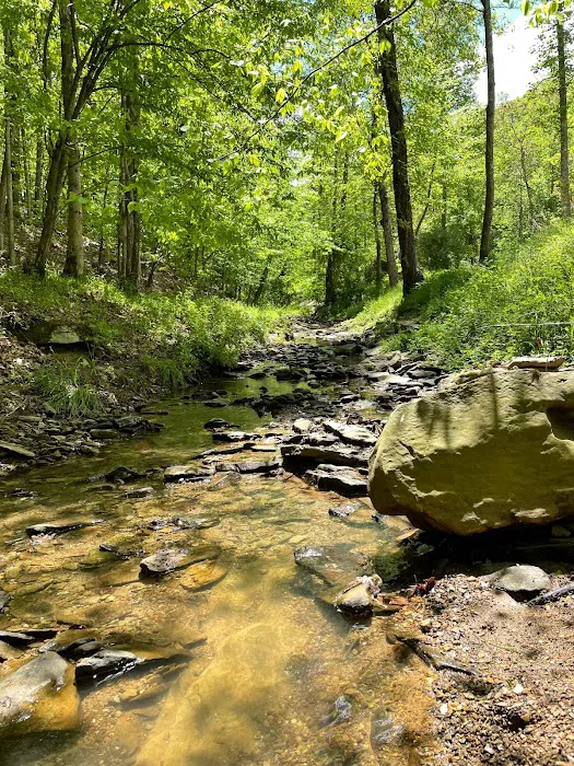 Lazy K's Campground and Canoe Livery Picture 8