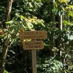 Lazy K's Campground and Canoe Livery