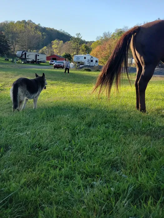Lemley RV & Mobile Home Park Picture 4