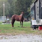 Lemley RV & Mobile Home Park