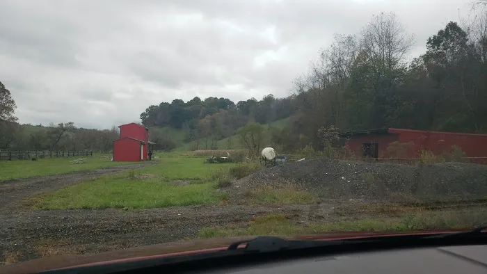 Lemley RV & Mobile Home Park Picture 7