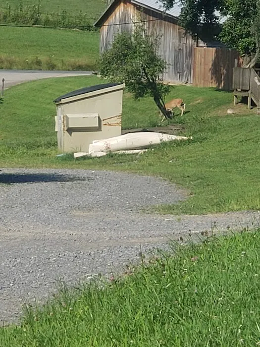 Indian Meadows Campground Picture 4