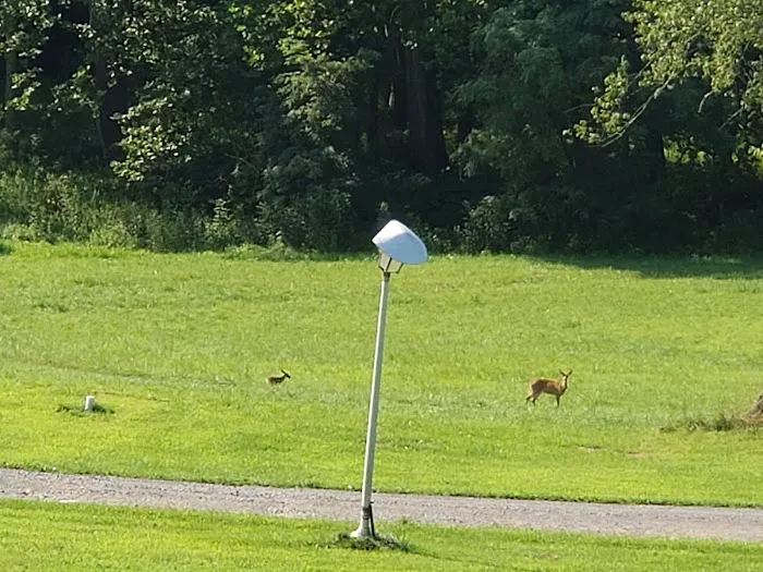 Indian Meadows Campground Picture 8