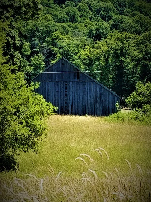 Morgantown Campground Picture 1