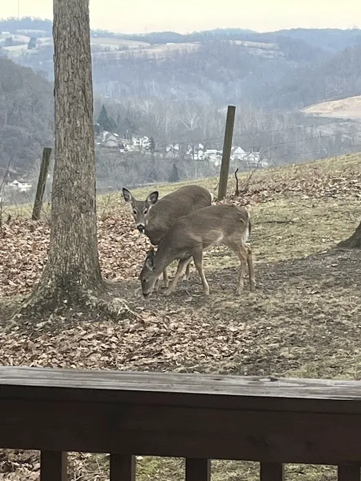 Alta Villa Estates Picture 1