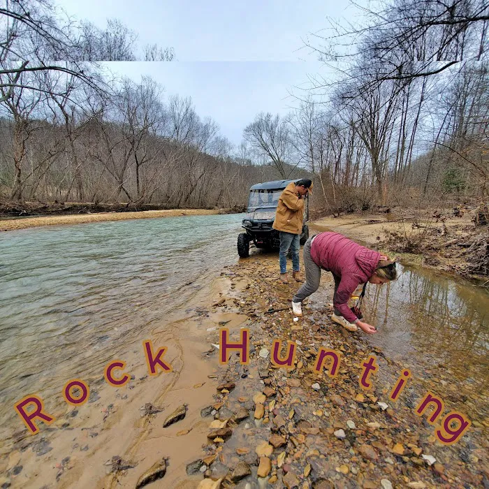 Quick Accommodations, Tours & More Picture 3