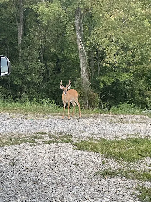 J&R Country Farm and RV Park Picture 3