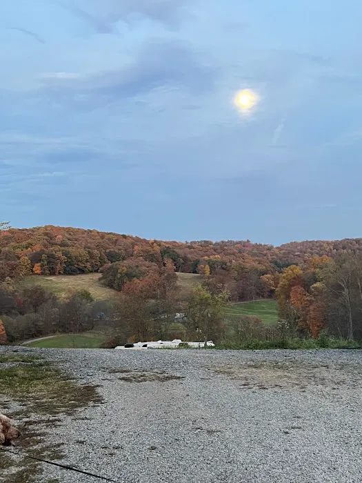 J&R Country Farm and RV Park Picture 4