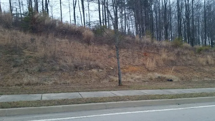 East Park Mobile Home Village Picture 9