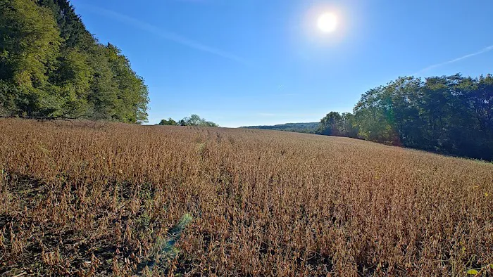 Lake Arthur Estates Picture 4