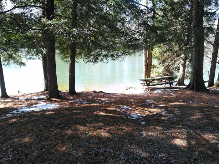 Five Points Organized Group Campground Picture 4