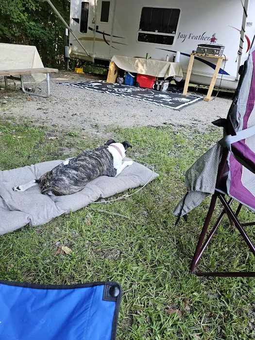 Cozy Oaks RV Resort Picture 2