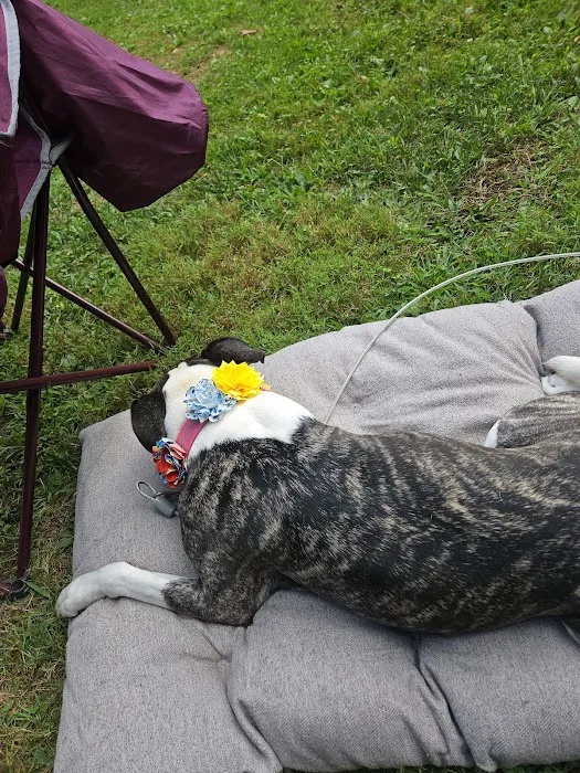 Cozy Oaks RV Resort Picture 7