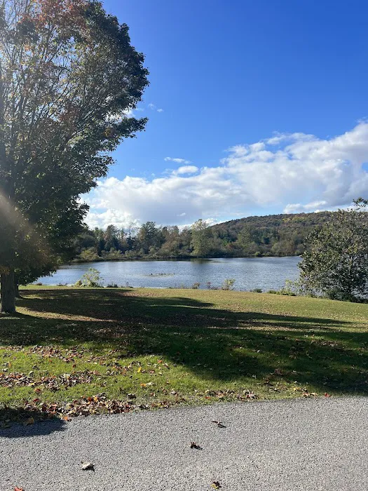 Mitchell Lake Campgrounds Picture 5