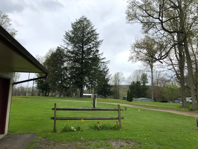 Mitchell Lake Campgrounds Picture 7