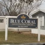 Blue Coral