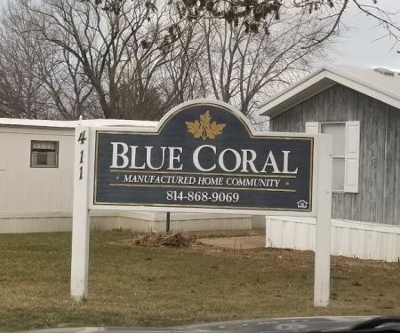 Blue Coral