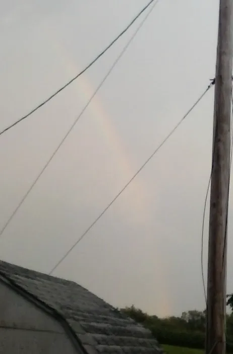Bliley's Mobile Home Park Picture 2