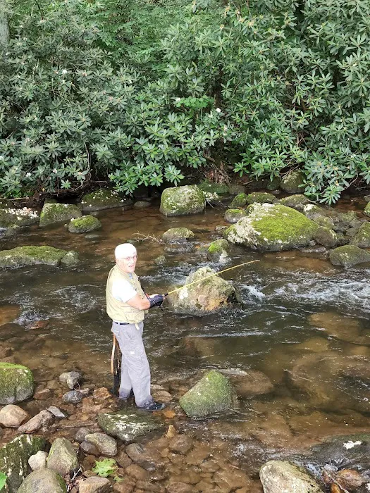 Brumley Cove Baptist Camp Picture 2