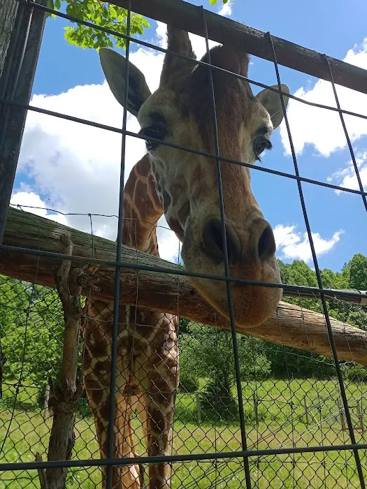 Greenfield Mobile Home Estates Picture 4