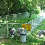 Bristol / Kingsport KOA Holiday