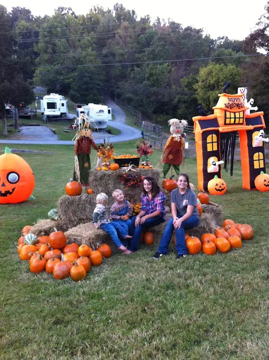 Bristol / Kingsport KOA Holiday Picture 3
