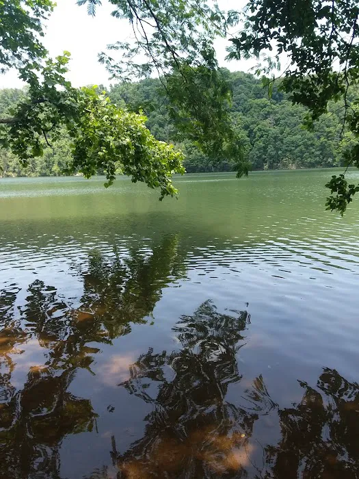 Moody Bluff Campground Picture 10