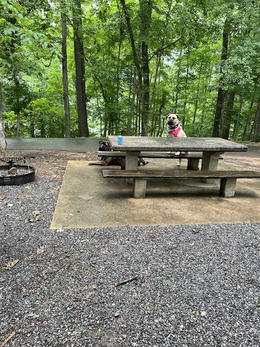 Warriors' Path Main Campground Picture 3