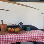 Raccoon Valley at Volunteer Park