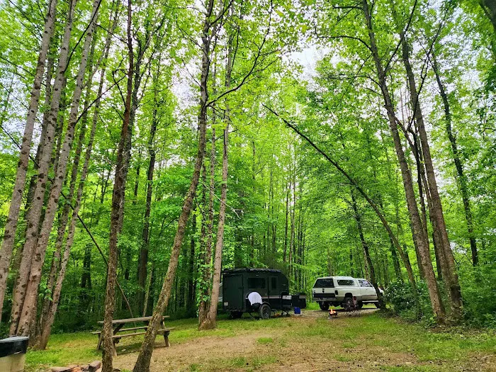 Half Moon Campground Picture 4